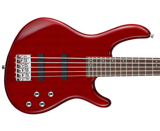 5-струнная бас-гитара CORT ACTION V PLUS (TR)