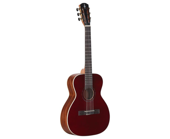 Акустическая гитара Alvarez RS26NBG