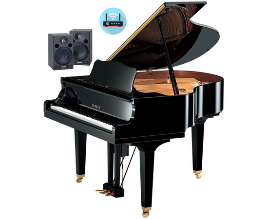 Дисклавир Yamaha DGB1K ENST PE - 137501 за 0 грн. | 4Club