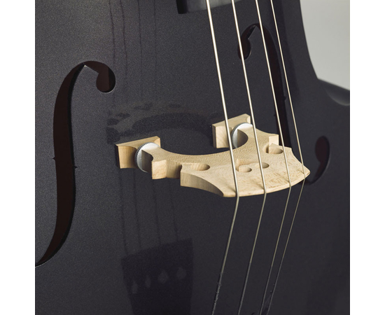 Контрабас STENTOR 1950LCBK