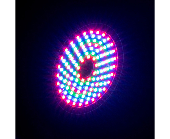 Световой LED прибор ADJ Rayzer