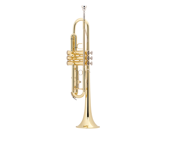 Труба Bach Conn-Selmer TR305ВР - 137780 за 0 грн. | 4Club