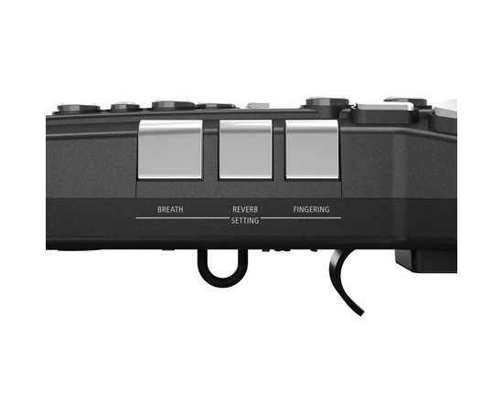 Цифровой саксофон Roland AE05