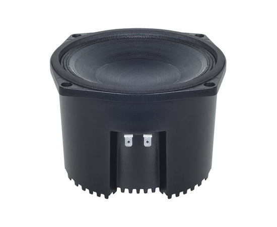 СЧ динамик B&C Speakers 6NSM51 - 138100 за 0 грн. | 4Club