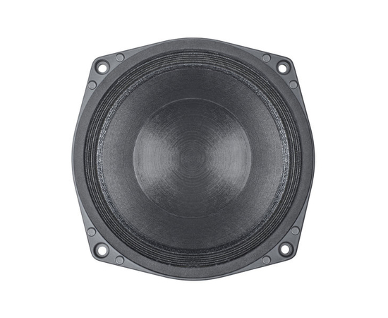 СЧ динамик B&C Speakers 6NSM51