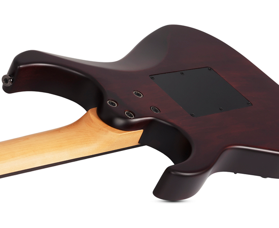 Электрогитара BANSHEE-6 FR SGR BY SCHECTER WSN