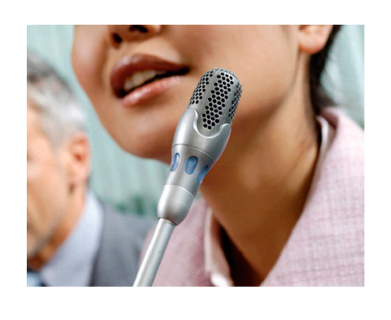 Программа для протоколирования микрофонов Bosch DCN-SWVAML-E - 138079 за 0 грн. | 4Club