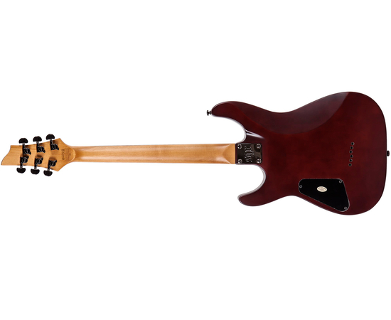 Электрогитара C-1 SGR BY SCHECTER WSN