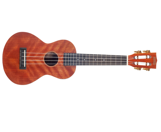 Концертное укулеле MAHALO MJ2vna - 138219 за 0 грн. | 4Club