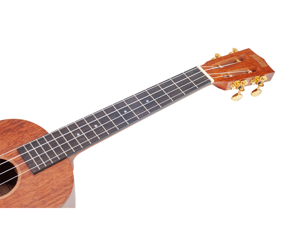 Тенор укулеле MAHALO MJ3tbr