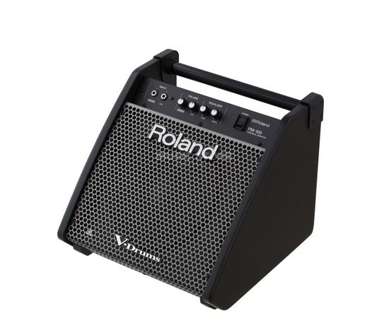 Гитарный комбоусилитель ROLAND PM100