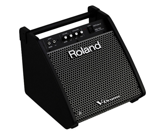 Гитарный комбоусилитель ROLAND PM100