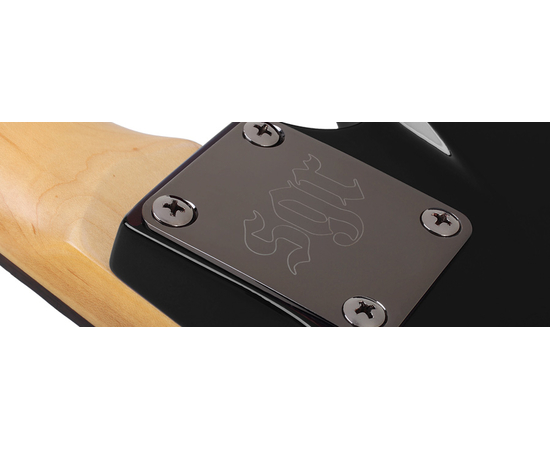 Электрогитара Schecter SGR C-1 BLK