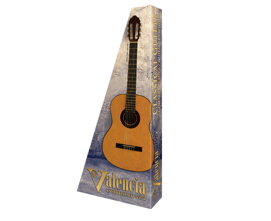 Классическая гитара VALENCIA VC201TWR