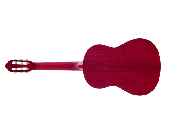 Классическая гитара VALENCIA VC201TWR