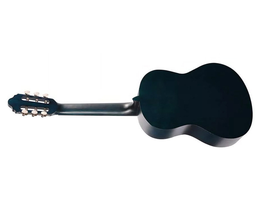 Классическая гитара VALENCIA VC202TBU