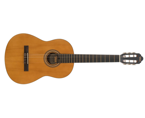 Классическая гитара VALENCIA VC204 - 138274 за 0 грн. | 4Club