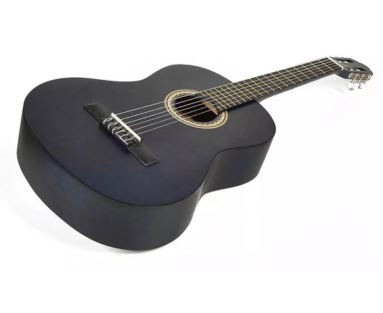 Классическая гитара VALENCIA VC204TBU