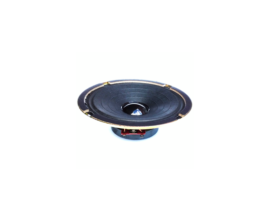 Динамик BIG SYP05 - 139537 за 266 грн. | 4Club