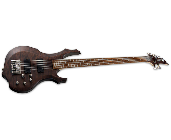 Бас-гітара ESP LTD F205FM (Walnut Brown Satin), image , зображення 3
