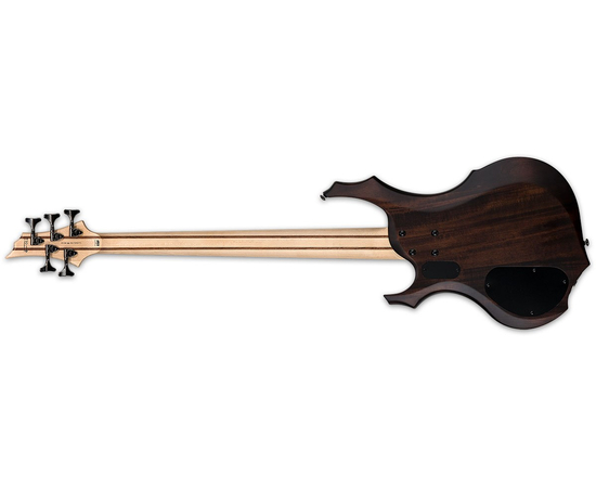 Бас-гітара ESP LTD F205FM (Walnut Brown Satin), image , зображення 2