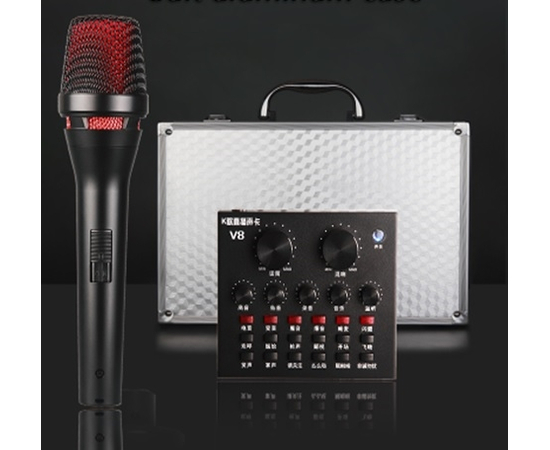 Портативный голосовой процессор для караоке PC-V8 - 140879 за 0 грн. | 4Club