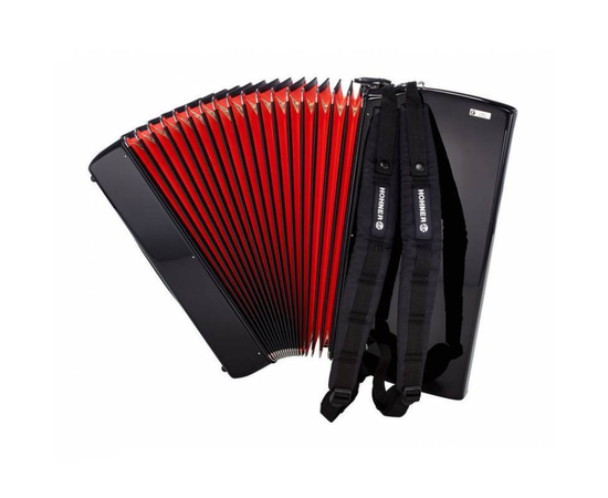 Аккордеон Hohner Bravo III 120 (А-16822) Black, фото 