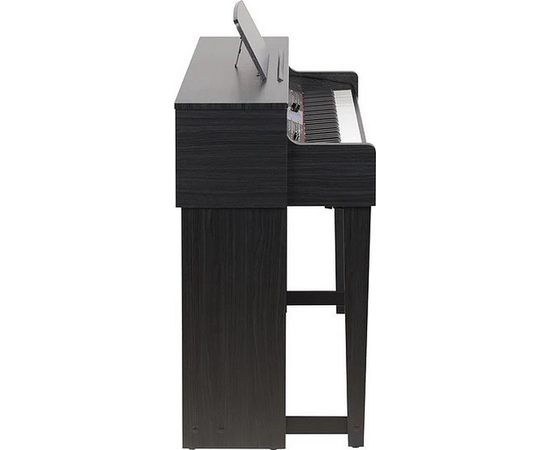 Цифрове піаніно Medeli DP740K, image , зображення 3