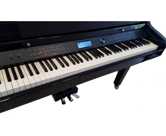 Цифровий рояль Medeli GRAND 510 (GB), image , зображення 3