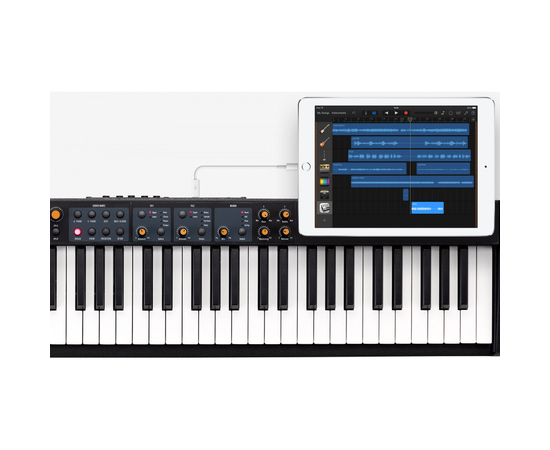 Сценічне піано FATAR-STUDIOLOGIC NUMA COMPACT 2X, image , зображення 2