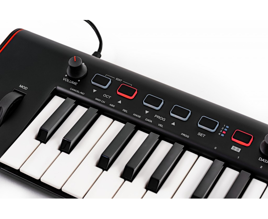 MIDI клавиатура IK MULTIMEDIA iRig Keys 2 Pro