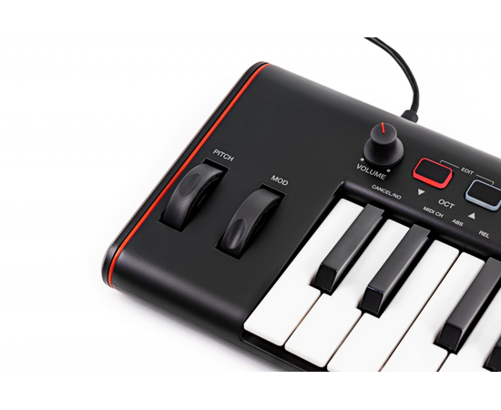 MIDI клавиатура IK MULTIMEDIA iRig Keys 2