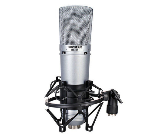 Студийный микрофон Takstar SM-10B-L, фото , изображение 2