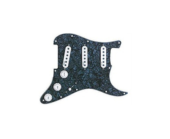 Именная панель для электрогитары EMG YNH20 (evo1) - 142091 за 0 грн. | 4Club