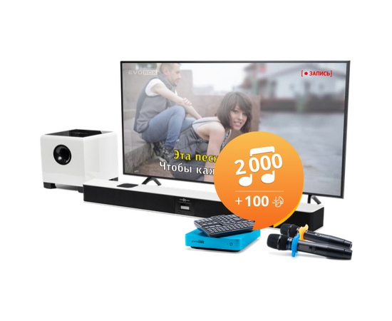 Караоке-комплект Evolution EVOBOX + EvoSound + SE 200D - 141926 за 0 грн. | 4Club