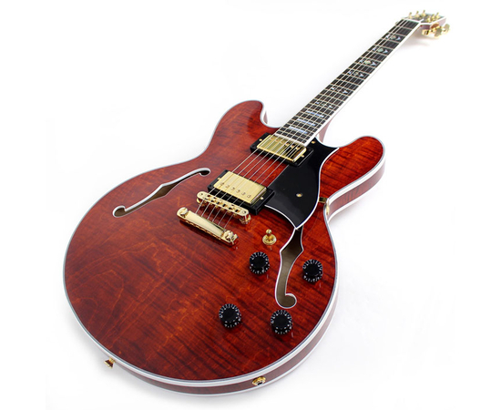 Полуакустическая гитара HERITAGE H555 B AM W SETH'S