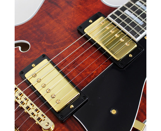 Полуакустическая гитара HERITAGE H555 B AM W SETH'S