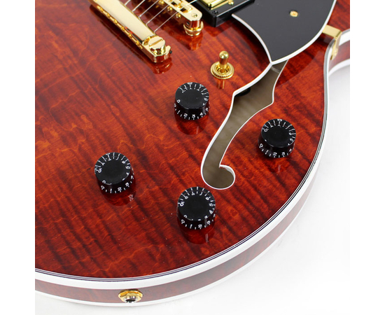 Полуакустическая гитара HERITAGE H555 B AM W SETH'S