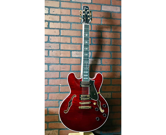 Полуакустическая гитара HERITAGE H555 TR WR W SETH'S