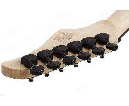 Электрогитара SCHECTER C-6 FR PRO ARB