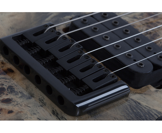 Электрогитара SCHECTER C-6 PRO CB