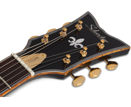 Полуакустическая гитара SCHECTER COUPE G.BLK