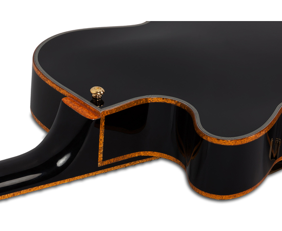 Полуакустическая гитара SCHECTER COUPE G.BLK