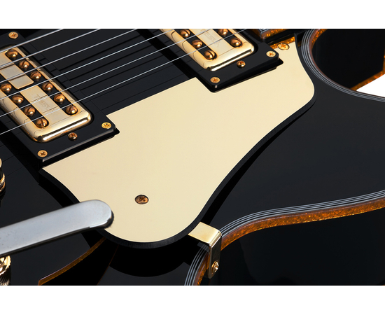 Полуакустическая гитара SCHECTER COUPE G.BLK