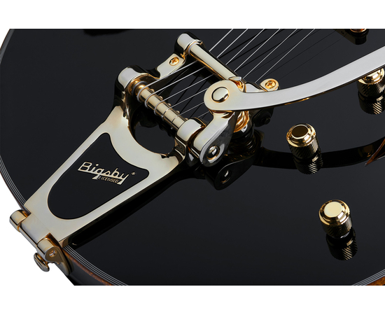 Полуакустическая гитара SCHECTER COUPE G.BLK