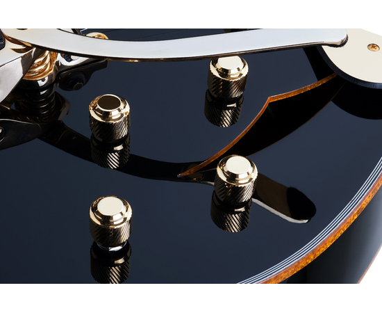 Полуакустическая гитара SCHECTER COUPE G.BLK