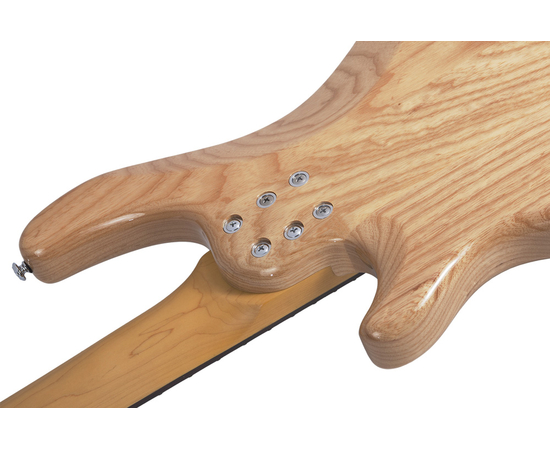 Пятиструнная бас-гитара SCHECTER CV-5 GNAT