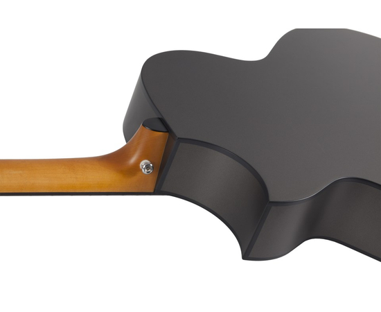 Электроакустическая гитара SCHECTER DJ ASHBA ACOUSTIC SCG