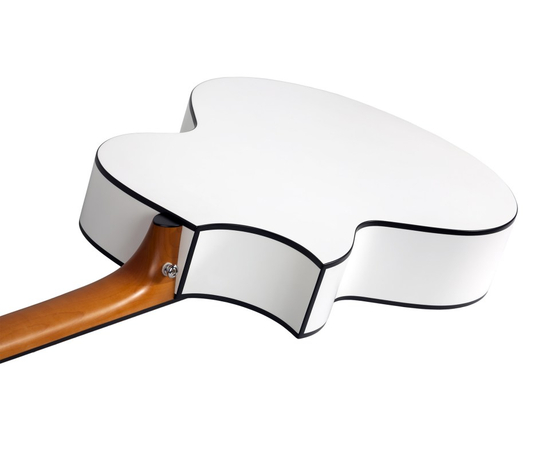 Электроакустическая гитара SCHECTER DJ ASHBA ACOUSTIC SWHT