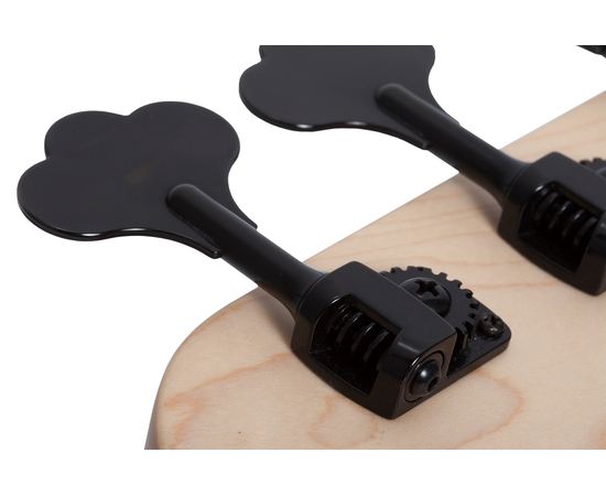 Пятиструнная бас-гитара SCHECTER J-5 SFG